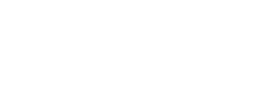 Levin GmbH Logo