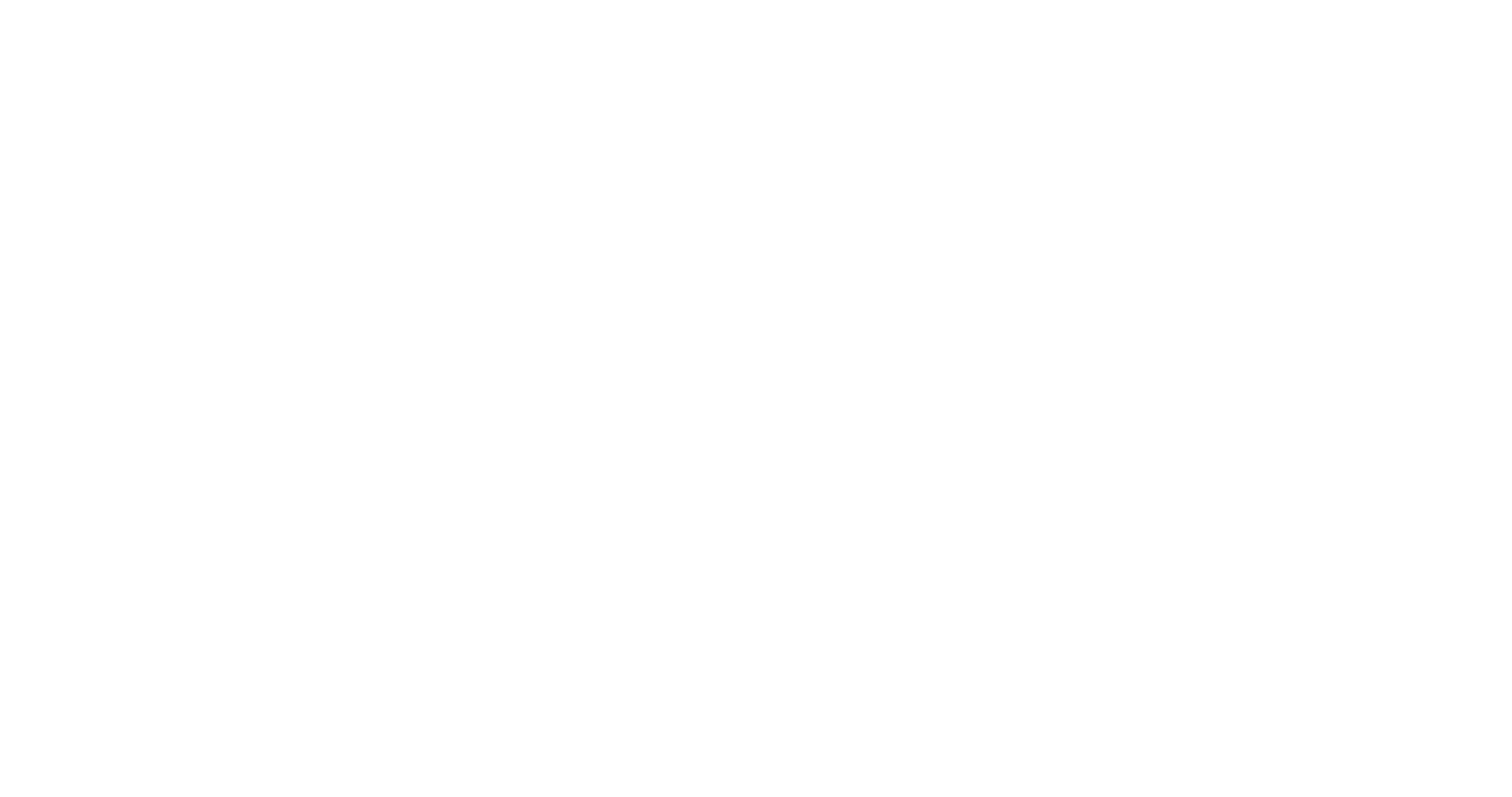 LS Verwaltungs GmbH Logo