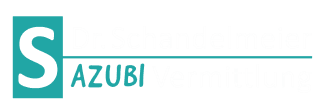 Dr. Schandelmeier Personallösungen GmbH Logo