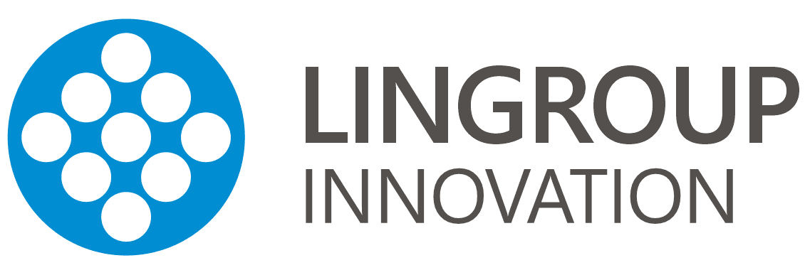 Lingroup GmbH Logo