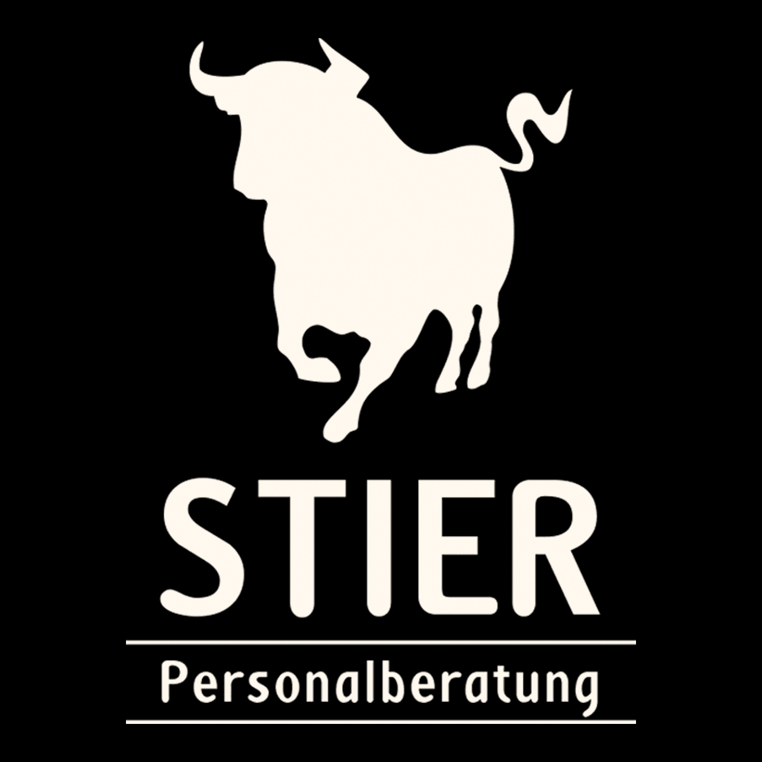 Stier Personalberatung Logo