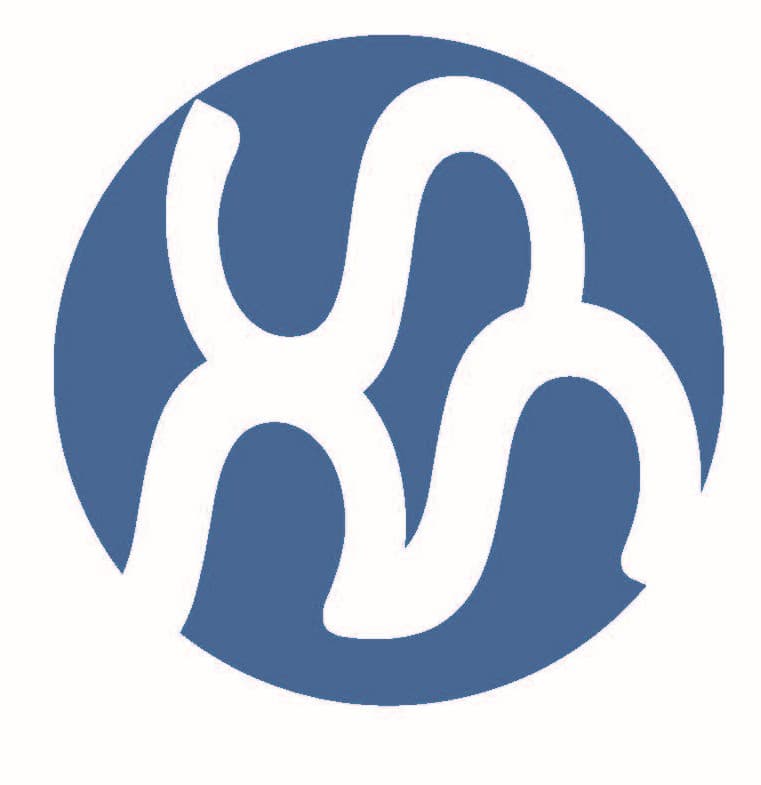 Schulze-Moews Executive Consulting Logo